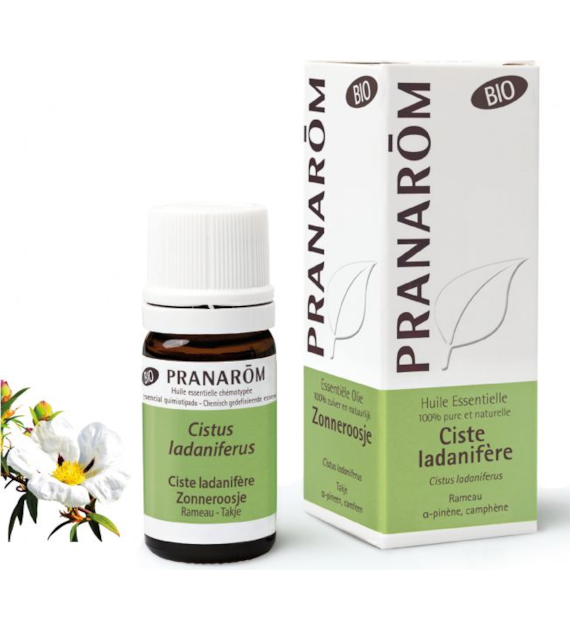 Olejek eteryczny labdanum Czystek labdanowy Cistus ladaniferus 5ml PRANARÔM EKO