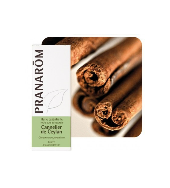 Olejek eteryczny cynamonowy Cynamonowiec cejloński Cinnamomum zeylanicum 5ml PRANARÔM