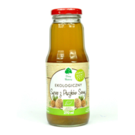 Syrop z pączków sosny 270ml DARY NATURY BIO