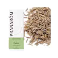 Olejek eteryczny kumin Kmin rzymski Cuminum cyminum 5ml PRANARÔM