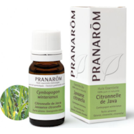 Olejek eteryczny cytronelowy Citronella Java Palczatka Cymbopogon winterianus 10ml PRANARÔM
