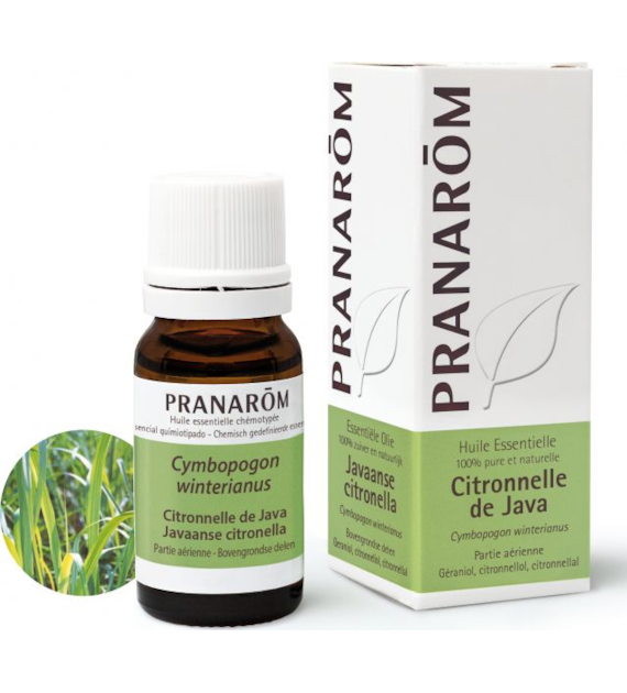 Olejek eteryczny cytronelowy Citronella Java Palczatka Cymbopogon winterianus 10ml PRANARÔM