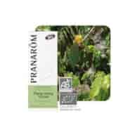 Olejek eteryczny ylang-ylang Jagodlin wonny Cananga odorata 5ml PRANARÔM BIO
