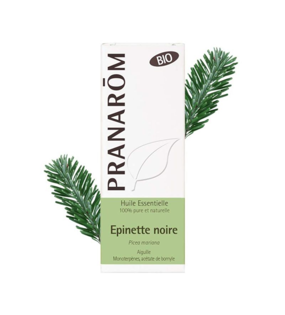 Olejek eteryczny świerkowy Świerk czarny Picea mariana 10ml PRANARÔM EKO