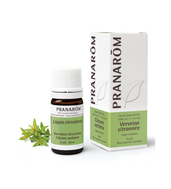 Olejek eteryczny werbenowy Werbena cytrynowa Lippia trójlistna Lippia citriodora 5ml PRANARÔM
