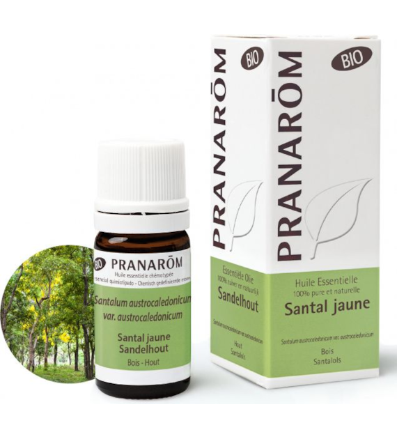 Olejek eteryczny Drzewo sandałowe Santalum austrocaledonicum var. austrocaledonicum 5ml PRANARÔM EKO