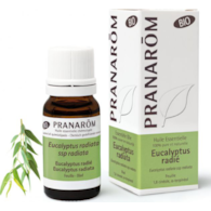 Olejek eteryczny eukaliptusowy Eukaliptus australijski Eucalyptus radiata ssp radiata 10ml PRANARÔM BIO