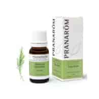 Olejek eteryczny Drzewo Herbaciane Melaleuca alternifolia 10ml PRANARÔM