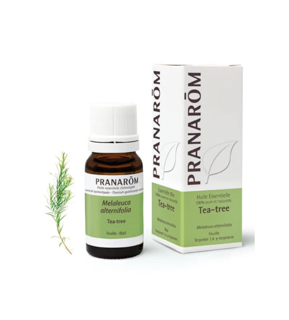 Olejek eteryczny Drzewo Herbaciane Melaleuca alternifolia 10ml PRANARÔM