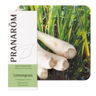Olejek eteryczny Trawa cytrynowa Palczatka cytrynowa Cymbopogon citratus 10ml PRANARÔM