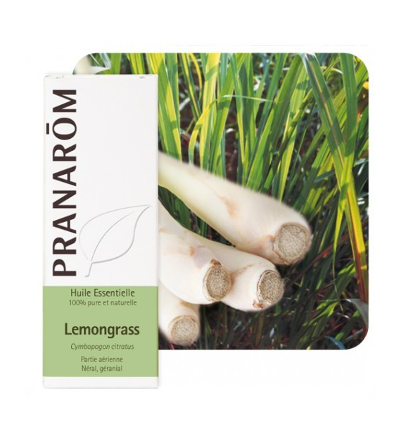 Olejek eteryczny Trawa cytrynowa Palczatka cytrynowa Cymbopogon citratus 10ml PRANARÔM