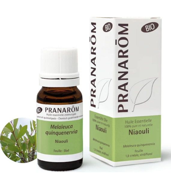 Olejek eteryczny niaouli Gomenol Melaleuca quinquenervia ct cineole 10ml PRANARÔM BIO