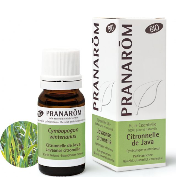 Olejek eteryczny cytronelowy Citronella Java Palczatka Cymbopogon winterianus 10ml PRANARÔM BIO