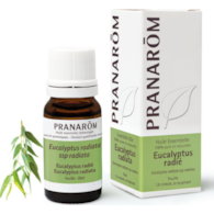 Olejek eteryczny eukaliptusowy Eukaliptus australijski Eucalyptus radiata ssp radiata 10ml PRANARÔM
