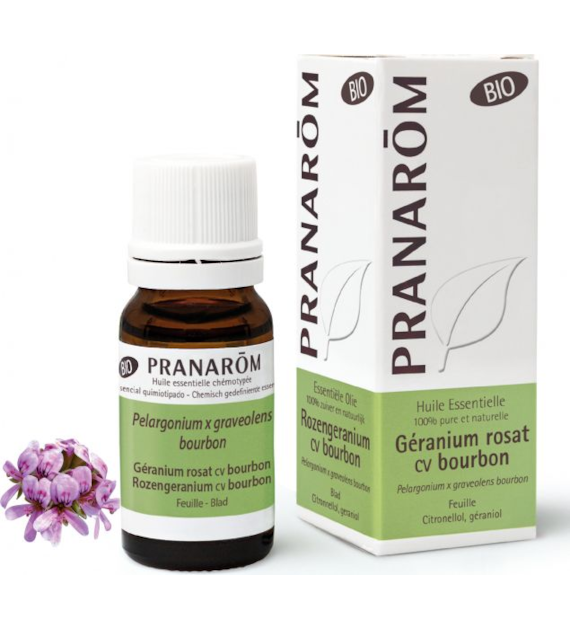 Olejek eteryczny geraniowy Geranium Bourbon Pelargonium x graveolens bourbon 10ml PRANARÔM BIO