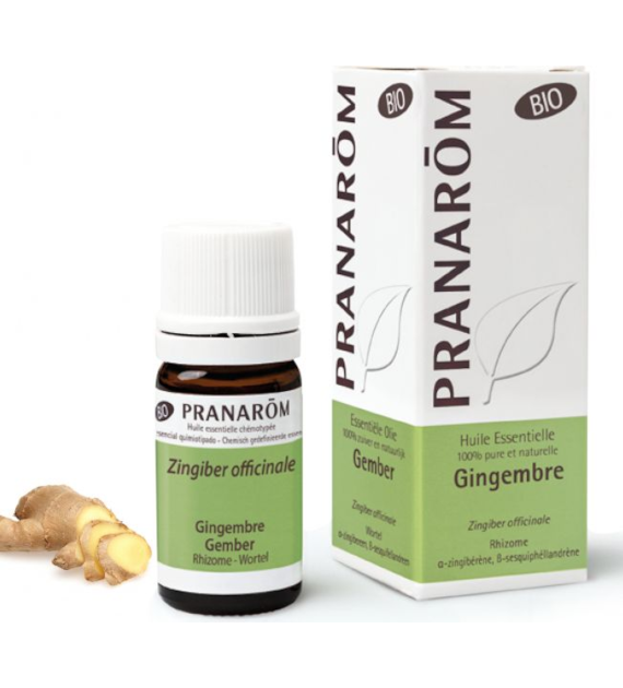 Olejek eteryczny imbirowy Imbir Zingiber officinale 5ml PRANARÔM BIO