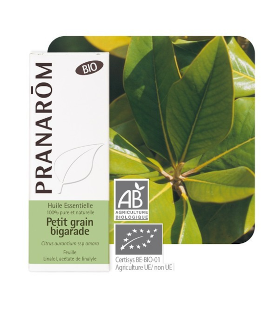Olejek eteryczny pomarańczowy Pomarańcza gorzka Petitgrain Citrus aurantium ssp amara 10ml PRANARÔM BIO