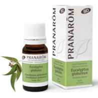 Olejek eteryczny eukaliptusowy Eukaliptus gałkowy Eucalyptus globulus 10ml PRANARÔM BIO