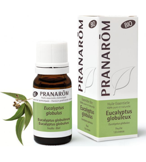 Olejek eteryczny eukaliptusowy Eukaliptus gałkowy Eucalyptus globulus 10ml PRANARÔM BIO