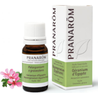 Olejek eteryczny geraniowy Geranium Egipskie Pelargonium x graveolens 10ml PRANARÔM
