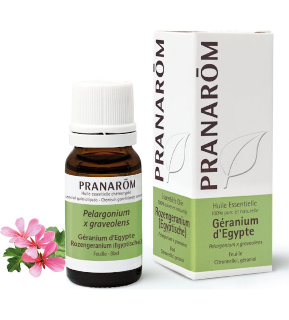 Olejek eteryczny geraniowy Geranium Egipskie Pelargonium x graveolens 10ml PRANARÔM