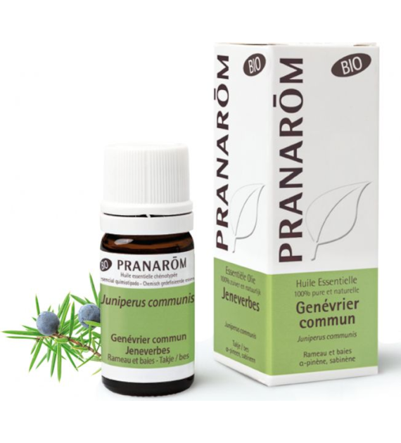 Olejek eteryczny jałowcowy Jałowiec Juniperus communis var. alpina 5ml PRANARÔM BIO