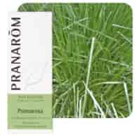 Olejek eteryczny Palmaroza Palmarosa Palczatka imbirowa Cymbopogon martini var. motial 10ml PRANARÔM BIO