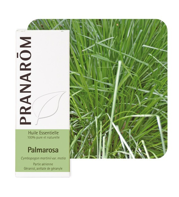 Olejek eteryczny Palmaroza Palmarosa Palczatka imbirowa Cymbopogon martini var. motial 10ml PRANARÔM BIO