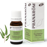 Olejek eteryczny eukaliptusowy Eukaliptus cytrynowy Eucalyptus citriodora 10ml PRANARÔM BIO