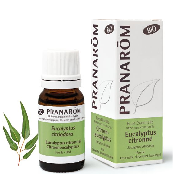 Olejek eteryczny eukaliptusowy Eukaliptus cytrynowy Eucalyptus citriodora 10ml PRANARÔM BIO
