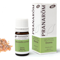 Olejek eteryczny kadzidłowiec Kadzidło Frankincense Olibanum Boswellia carteri 5ml PRANARÔM EKO