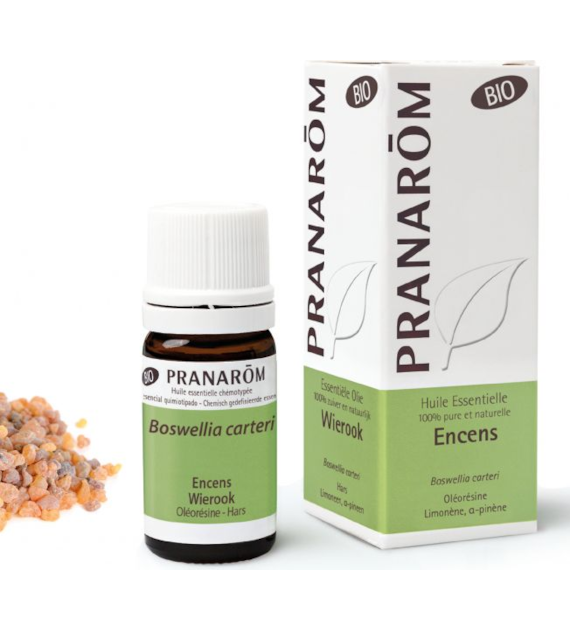Olejek eteryczny kadzidłowiec Kadzidło Frankincense Olibanum Boswellia carteri 5ml PRANARÔM EKO