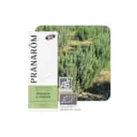Olejek eteryczny rozmarynowy Rozmaryn Rosmarinus officinalis ct cineole 10ml PRANARÔM BIO