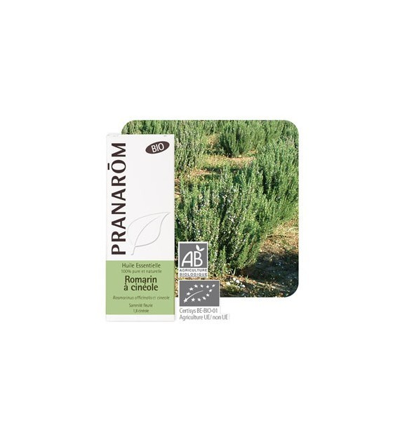 Olejek eteryczny rozmarynowy Rozmaryn Rosmarinus officinalis ct cineole 10ml PRANARÔM BIO