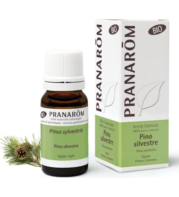 Olejek eteryczny sosnowy Sosna zwyczajna Pinus sylvestris 10ml PRANARÔM BIO