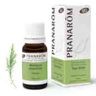 Olejek eteryczny Drzewo herbaciane Melaleuca alternifolia 10ml PRANARÔM BIO