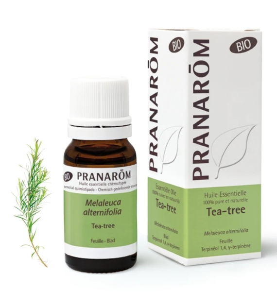Olejek eteryczny Drzewo herbaciane Melaleuca alternifolia 10ml PRANARÔM BIO