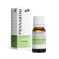 Olejek eteryczny Fenkuł Koper włoski Foeniculum vulgare 10ml PRANARÔM BIO