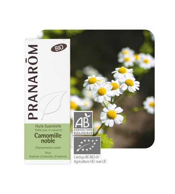 Olejek eteryczny rumiankowy Rumianek rzymski Chamaemelum noble 5ml PRANARÔM BIO