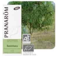 Olejek eteryczny Cynamonowiec kamforowy Ravintsara Cinnamomum camphora ct cineole 10ml PRANARÔM BIO