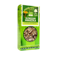 Herbatka Mniszek korzeń 100g DARY NATURY BIO