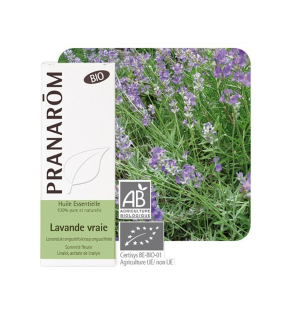 Olejek eteryczny lawendowy Lawenda wąskolistna Lavandula angustifolia ssp angustifolia 10ml PRANARÔM BIO