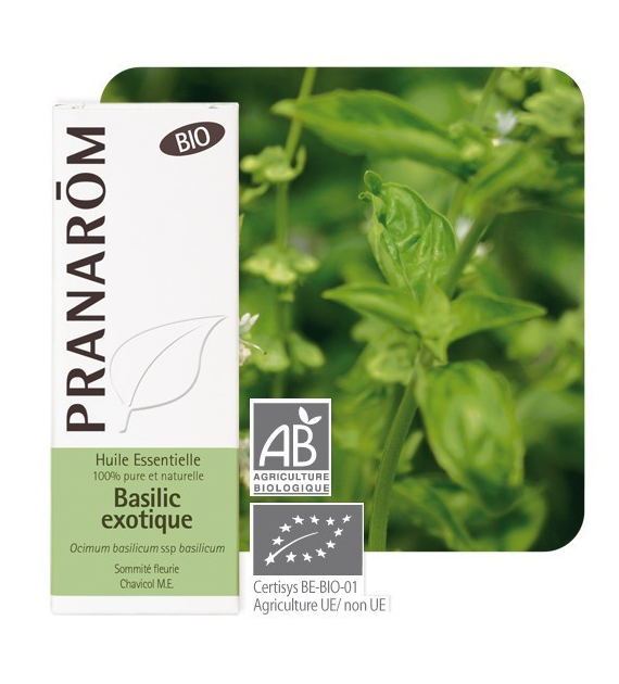 Olejek eteryczny bazyliowy Bazylia Ocimum basilicum ssp basilicum 10ml PRANARÔM EKO