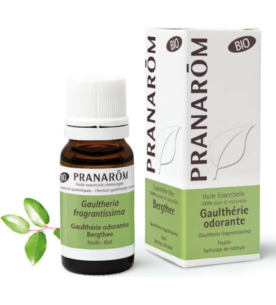 Olejek eteryczny golteriowy Wintergreen Golteria rozesłana Gaultheria fragrantissima 10ml PRANARÔM EKO