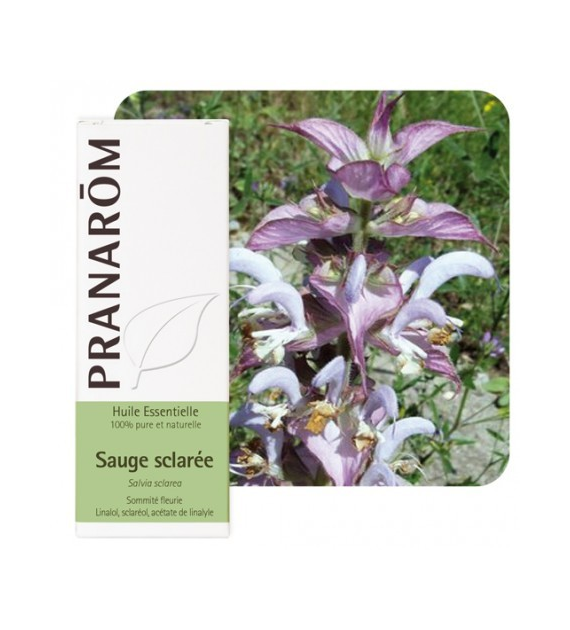 Olejek eteryczny szałwiowy Szałwia muszkatołowa Clary sage Salvia sclarea 5ml PRANARÔM BIO