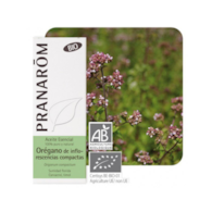 Olejek eteryczny oreganowy Oregano Origanum compactum 10ml PRANARÔM BIO