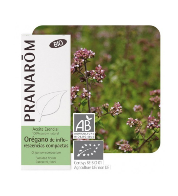 Olejek eteryczny oreganowy Oregano Origanum compactum 10ml PRANARÔM BIO