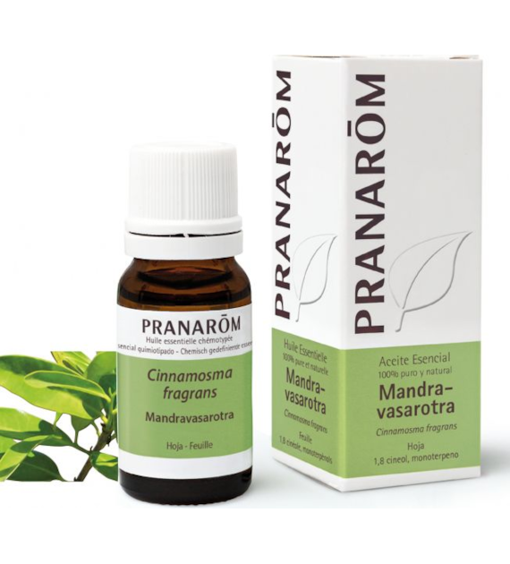 Olejek eteryczny mandravasarotra saro Cinnamosma fragrans 10ml PRANARÔM EKO