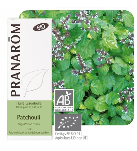 Olejek eteryczny paczulowy Paczuli Patchouli Paczulka wonna Pogostemon cablin 10ml PRANARÔM EKO