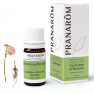 Olejek eteryczny walerianowy Waleriana Kozłek lekarski Valeriana officinalis 5ml PRANARÔM